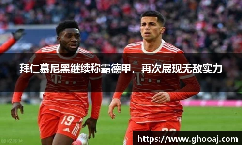 极悦娱乐登录APP